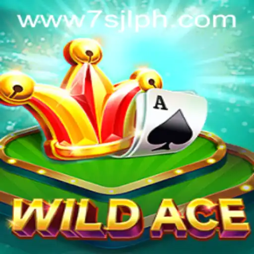 Discovering WildAce: A New Gaming Sensation